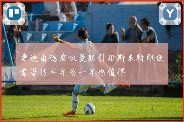 费迪南德建议曼联引进斯米特即使需等待半年或一年也值得